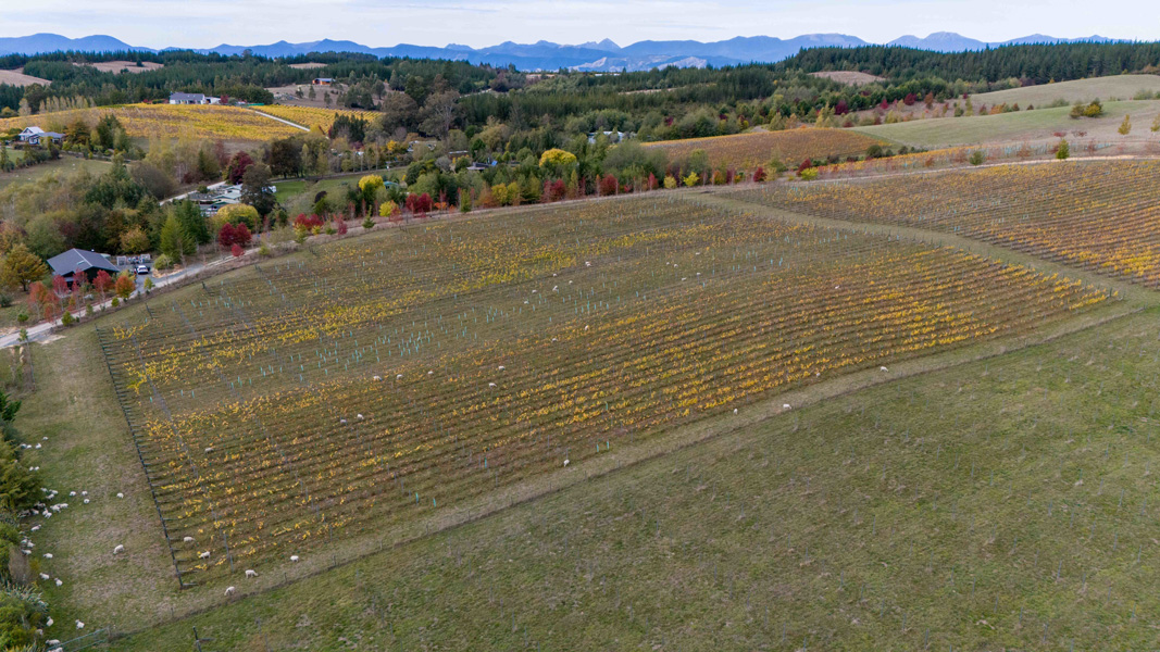 Utilising Drones to Minimise Vineyard Soil Compaction at Abel New Zealand